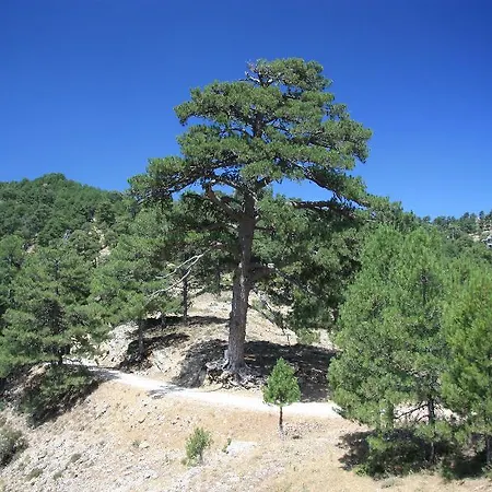 Rurales Campillo Apartamento *